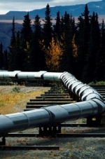 Беларусь ограничила экспорт бензина и дизеля из-за проблем с нефтью