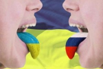 "Языковой закон" усложнил жизнь бизнесу