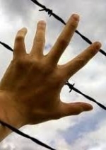 Депутаты дали осужденным право пользоваться интернетом
