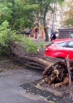 В результате непогоды в Одессе погибла женщина (фото)