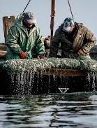Украинских рыбаков, задержанных ФСБ в Азовском море, освободили — депутат