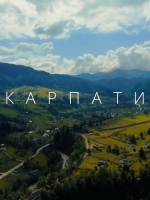 Рада запретила вырубку елово-буковых лесов Карпат