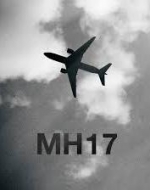 Нидерланды готовят иск в ЕСПЧ против России из-за сбитого МН17