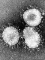В мире — наибольшее количество заражений и смертей от начала пандемии