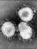 Коронавирус: в мире за сутки выявлено 600 тысяч новых заражений