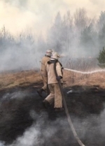В Житомирской области возникло еще три пожара в лесах