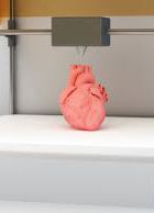 Украинский стартап будет печатать человеческие кости и органы на 3D-принтере (видео)