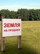 СЕТАМ начинает продажу арестованных земельных участков