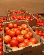 Украина исчерпала квоты на экспорт ряда продуктов в ЕС