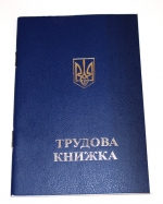 В ближайшее время трудовые книжки должны уйти в историю — Дубилет