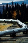 Беларусь ограничила экспорт бензина и дизеля из-за проблем с нефтью