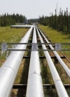 Польша остановила транзит российской нефти из-за плохого качества