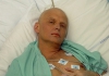 Адвокат: Литвиненко сотрудничал с британской и испанской спецслужбами