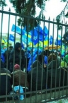 В Мариинском парке Партия регионов "строит Европу в Украине"