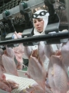 Европарламент поддержал увеличение квот на украинскую курятину