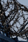 Десять крымских татар этапируют из ростовского СИЗО в неизвестном направлении