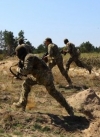 Боевики обстреляли из минометов силы ООС под Лебединским