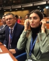 Украинского депутата избрали вице-президентом ПАСЕ