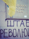 В КГГА остаются несколько сотен активистов