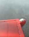 В Чернобыльский зоне до сих пор тушат пожары (видео)