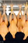 Европейские продукты будут уничтожать прямо на границе России