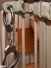Чечетов пригрозил, что арестованные активисты останутся в тюрьме
