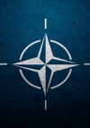 НАТО осуждает действия России по усилению военных действий в Украине