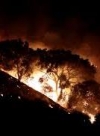 Пожары в Греции: погибли 77 человек, десятки пропавших