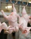 ЕС частично снял запрет на экспорт украинской курятины