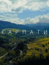 Рада запретила вырубку елово-буковых лесов Карпат