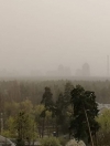 Киев затянуло дымом из Зоны ЧАЭС, горожан просят закрыть окна и не выходить