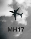 Нидерланды готовят иск в ЕСПЧ против России из-за сбитого МН17