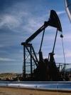 Нефть дорожает пятую неделю подряд, Brent достигает 50 долларов