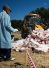В РФ уничтожили боле 7,5 тонн санкционных продуктов