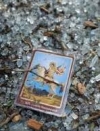 Годовщина "Иловайского котла": соцсети вспоминают события 29 августа 2014 года (фото)