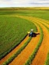 Фермеры смогут получить кредиты под госгарантии на покупку земли