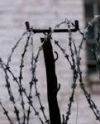 "Правый сектор" блокирует выезд "беркутовцев" из СИЗО