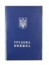 В Кабмине надеются до конца года отменить обязательность трудовых книжек