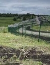 Задержали шестерых лиц, причастных к хищению средств проекта “Стена”