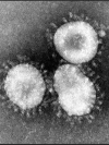 В мире за сутки диагностировали еще полмиллиона заражений COVID-19