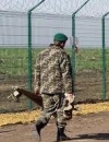 Пограничники не исключают, что строительство "Стены" затянется