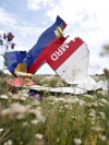 Порошенко: Есть доказательства того, что MH-17 сбил российский экипаж российской ракетой