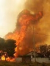 Греция обратилась к ЕС за помощью в борьбе с пожарами (фото)