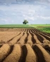 Против продажи земли - 73% украинцев