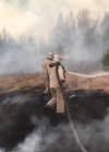 В Житомирской области возникло еще три пожара в лесах