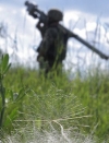 Оккупанты 14 раз срывали "тишину", один военный ВСУ погиб, один ранен