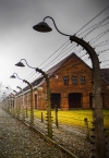 В Германии бывшего охранника Освенцима осудили на 5 лет (фото)