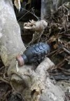 В Новоазовске на гранате подорвались мирные жители