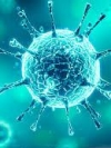 COVID в Украине: 876 больных и 2 405 выздоровевших за сутки