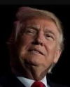 Советник Трампа встретится с Лавровым и Путиным